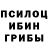 Галлюциногенные грибы Cubensis Walentin Lwy