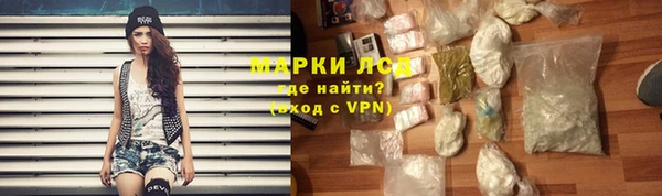 стаф Надым