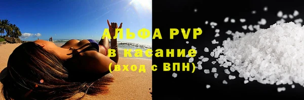 стаф Надым