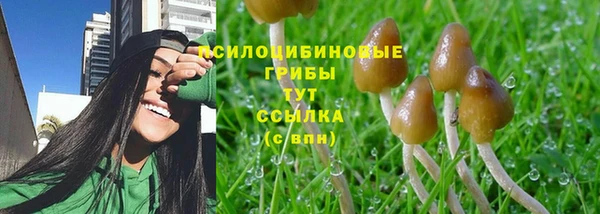 стаф Надым