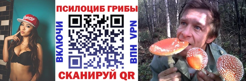 Псилоцибиновые грибы ЛСД  omg ССЫЛКА  Чулым 